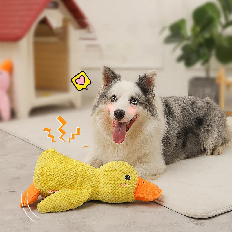 Duck Chew Toy