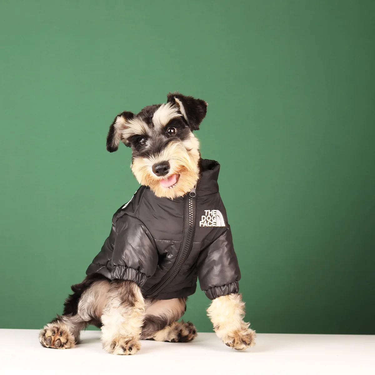 The Dog Face Jacket